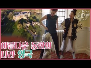 아름다운 동화의 나라 영국 [스타 펫 트래블 바다 in 영국] 1회