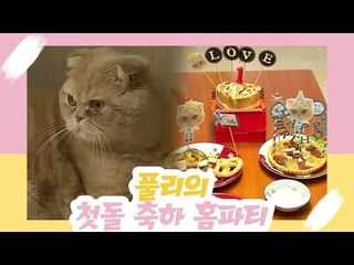 최희, 풀리의 첫돌 축하 홈 파티 [오 마이 펫 시즌2] 10회