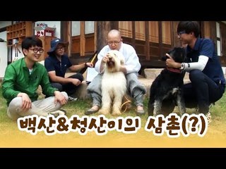 백산이와 청산이의 삼촌들(?)의 방문 [윤형빈의 팔도견문록] 9회