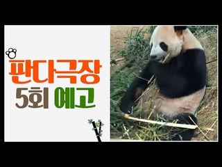 [5회 예고] 판다극장, 7월 10일 (금) 밤 11시