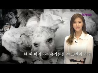 반려동물 캠페인 행복한 약속_유기견