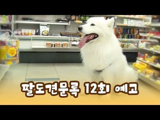 [12회 예고] 윤형빈의 팔도견문록, 8월 3일 (월) 밤 11시