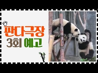 [3회 예고] 판다극장, 6월 26일 (금) 밤 11시