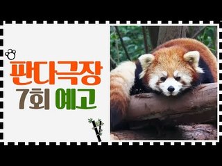 [7회 예고] 판다극장, 7월 24일 (금) 밤 11시
