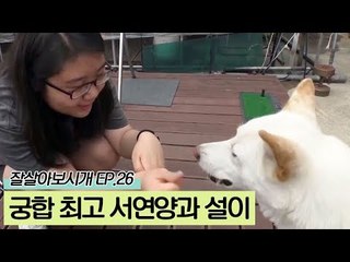 가족 중 궁합 최고! 서연양과 설이 [잘살아보시개 시즌2] 26회