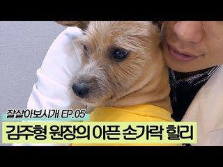 김주형 원장의 아픈 손가락 힐리 [잘살아보시개 시즌2] 5회