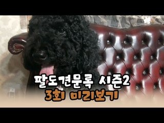 [3회 예고] 윤형빈의 팔도견문록 시즌2, 10월 19일 (월) 밤 11시