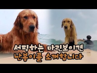 서핑하는 마린보이견 난봉이를 소개합니다! [윤형빈의 팔도견문록 시즌2] 1회