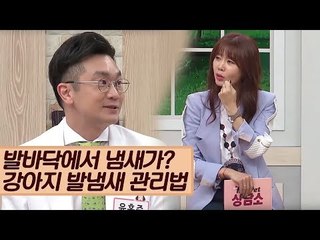 발바닥에서 냄새가? 강아지 발냄새 관리법 [마이펫 상담소] 1회