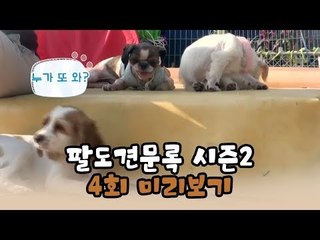 [4회 예고] 윤형빈의 팔도견문록 시즌2, 10월 26일 (월) 밤 11시