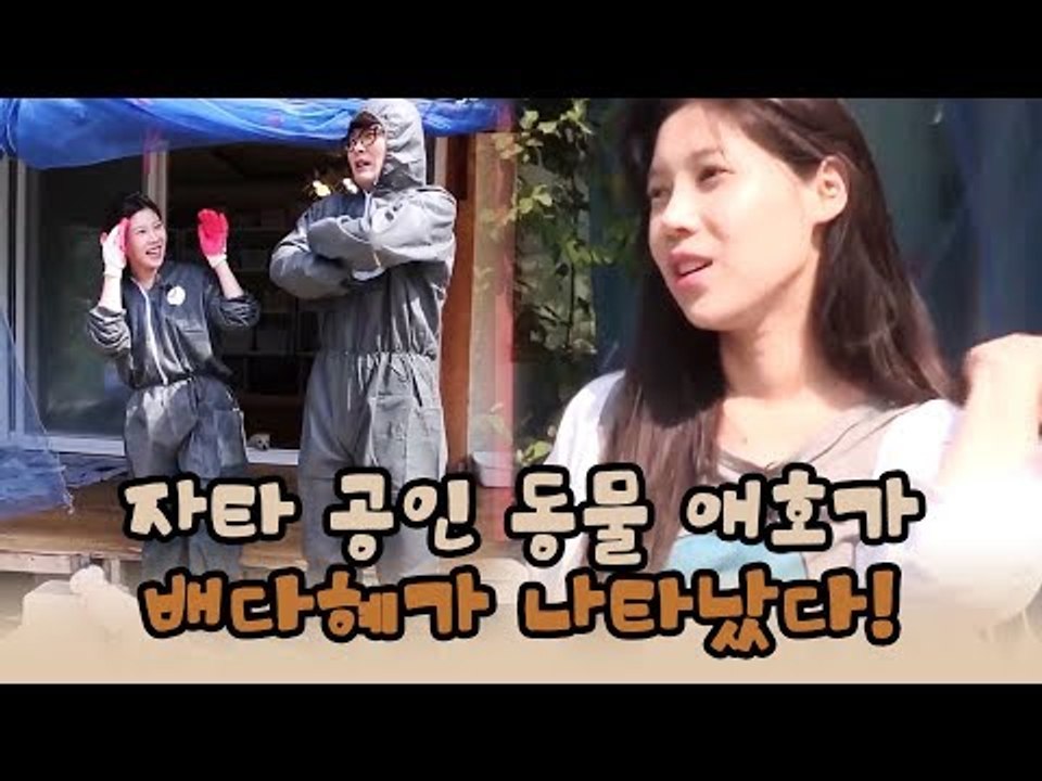 자타 공인 동물 애호가 배다혜가 나타났다! [윤형빈의 팔도견문록 시즌2] 4회