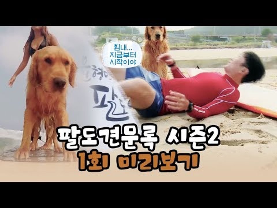 [1회 예고] 윤형빈의 팔도견문록 시즌2, 10월 5일 (월) 밤 11시