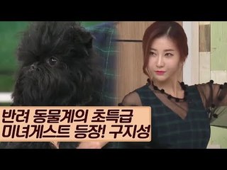 반려 동물계 초특급 미녀 게스트 등장! [마이펫 상담소] 3회