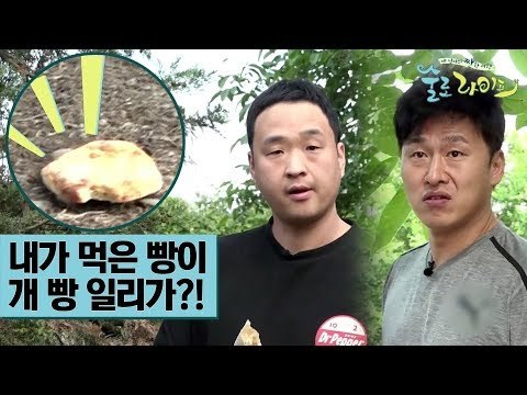 구성환·오대환, 내가 먹은 빵이 개 빵 일리가?! [술로라이프] 2회