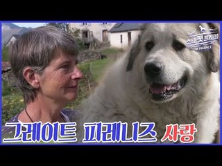 피레네 산골 노부부의 그레이트 피레니즈 사랑 [스타 펫 트래블 in 프랑스] 2회