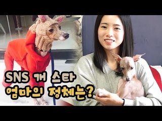 SNS 개 스타 엄마의 정체는? [팔도견문록 시즌3] 10회