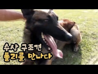 김기리, 수상 구조견 폴리를 만나다 [팔도견문록 시즌3] 8회