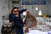 Karadeniz'de Avlanan 13 Kilogram Ağırlığındaki Kalkan Balığı 2 Bin 80 Liraya Alıcısını Bekliyor