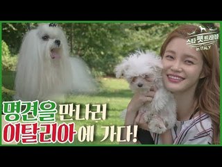 모델 한으뜸 명견을 만나러 이탈리아에 가다 [스타 펫 트래블 in 이탈리아] 1회
