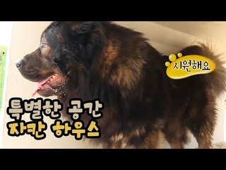 아주 특별한 공간, 자칸하우스 [팔도견문록 시즌3] 12회