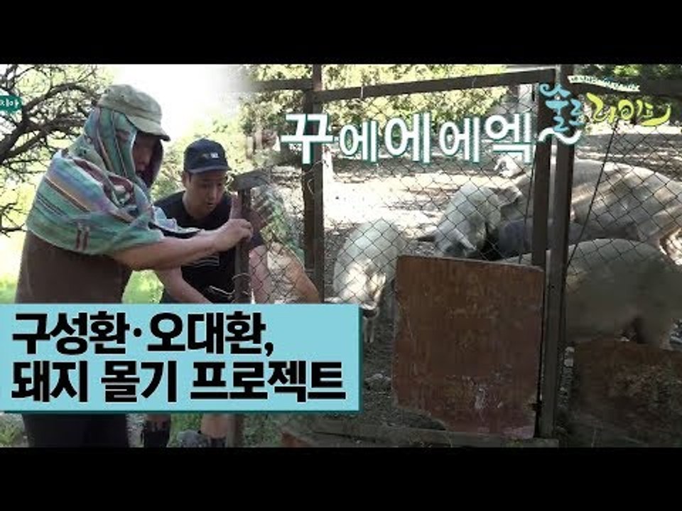 오대환·구성환, 돼지 몰기 프로젝트 [술로라이프] 3회