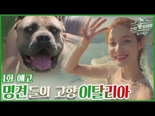 [1회 예고] 한으뜸과 함께 스타 펫 트래블 in 이탈리아, 9월 17일 (토) 밤 10시