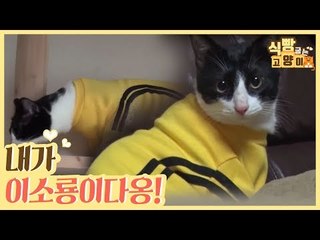내가 이소룡이다옹~ [식빵굽는 고양이] 4회