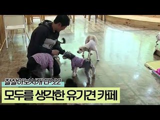 모두를 생각한 유기견 카페 [잘살아보시개 시즌2] 22회