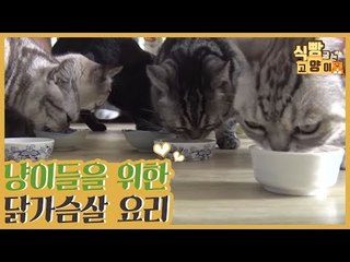 냥이들을 위한 닭가슴살 생식 요리 [식빵굽는 고양이] 4회