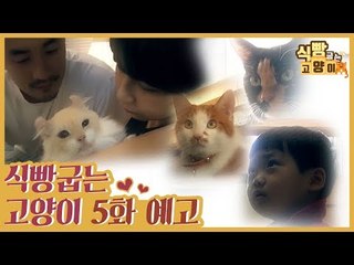 [5회 예고] 식빵굽는 고양이, 승재네 육아·육묘 & 따뜻한 멍냥부족