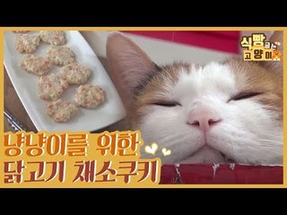 냥냥이를 위한 닭고기 채소 쿠키 만들기 [식빵굽는 고양이] 2회
