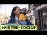 소리를 전하는 강아지 럭키 [잘살아보시개 시즌2] 9회
