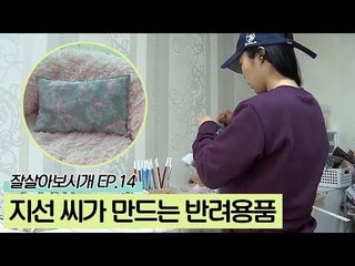 지선 씨가 만드는 반려용품 [잘살아보시개 시즌2] 14회