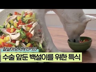 수술을 앞둔 백설이를 위한 특식 [잘살아보시개 시즌2] 3회