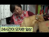 24시간이 모자란 정희씨의 일상 [잘살아보시개 시즌2] 23회