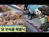 가수 송란이 준비한 닭 부속물 특별식 [잘살아보시개 시즌2] 17회