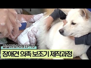 장애견들을 위한 의족 보조기 제작과정 [잘살아보시개 시즌2] 10회