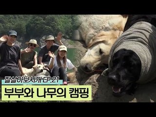 시공간을 나누는 부부와 나무의 캠핑 [잘살아보시개 시즌2] 21회