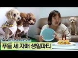 하늬씨 부부가 준비한 특별한 생일파티 [잘살아보시개 시즌2] 29회