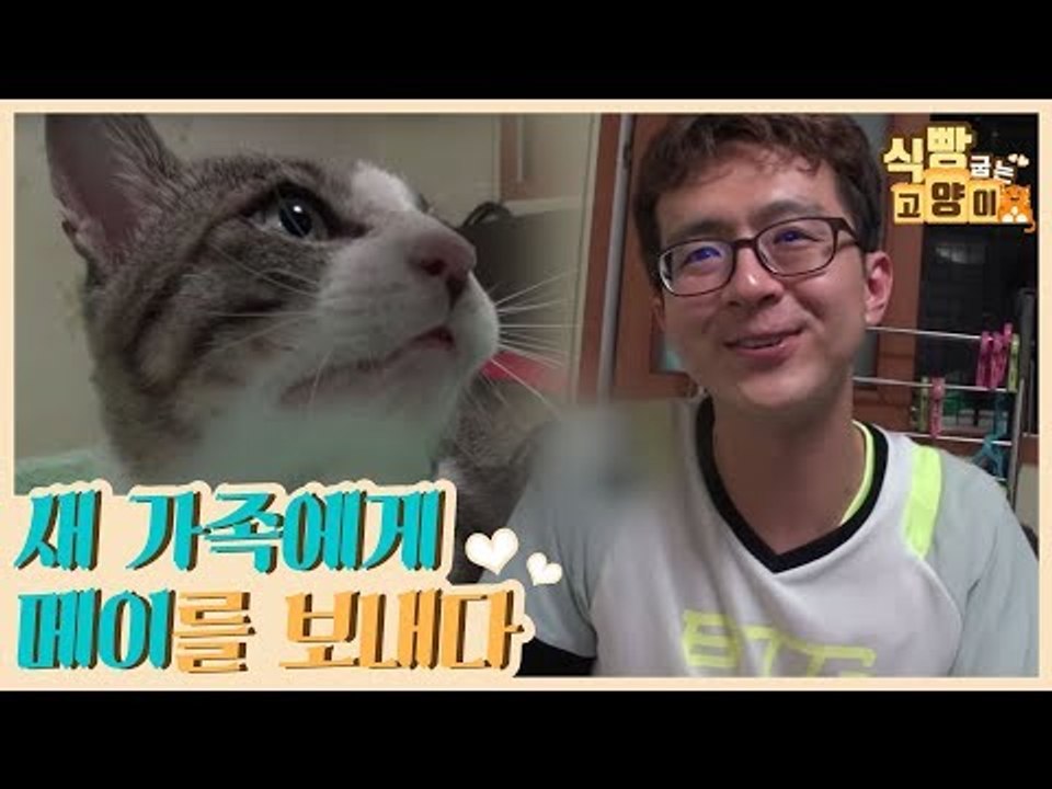 새 가족에게 메이를 보내는 호석 씨 [식빵굽는 고양이] 12회