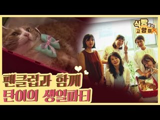 팬클럽과 함께한 탄이의 생일파티 [식빵굽는 고양이] 8회