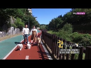 [40회 예고] 마음을 치유하는 행복 견공들 [잘살아보시개 시즌2]