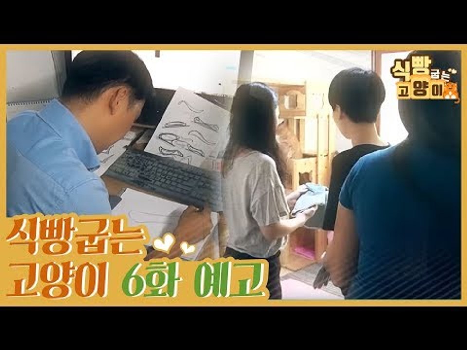 [6회 예고] 식빵굽는 고양이, 고양이와 친해지기 & 행복한 공존 멍냥부족
