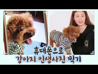 휴대폰으로 강아지 고퀄 사진 찍기 꿀팁 [개별방송] 14회