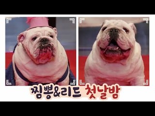 찜뽕♥리드의 첫날밤?! [개별방송] 9회