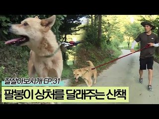 팔봉이의 상처를 달래주는 산책 [잘살아보시개 시즌2] 31회