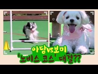 아담vs보미, 노비스 코스 대결?! [개별방송] 12회