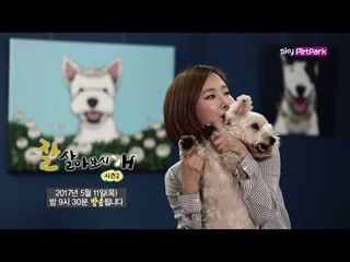 [16회 예고] 코비와 화가 누나의 일상 [잘살아보시개 시즌2]