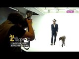 [41회 예고] 연기하는 강아지 스타견 모카 [잘살아보시개 시즌2]