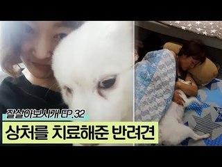 영주 씨의 상처를 치료해준 반려견 [잘살아보시개 시즌2] 32회